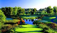 TPC Michigan Golf Course Photo